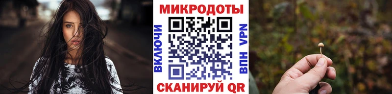 купить  цена  Фурманов  Галлюциногенные грибы Cubensis 